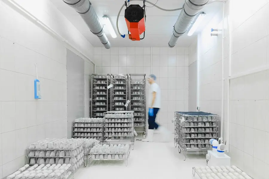 Interior de câmara fria com produtos armazenados